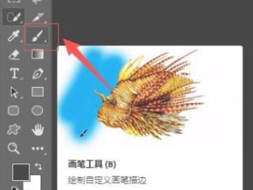 PS2020如何导入笔刷？PS2020导入笔刷的步骤