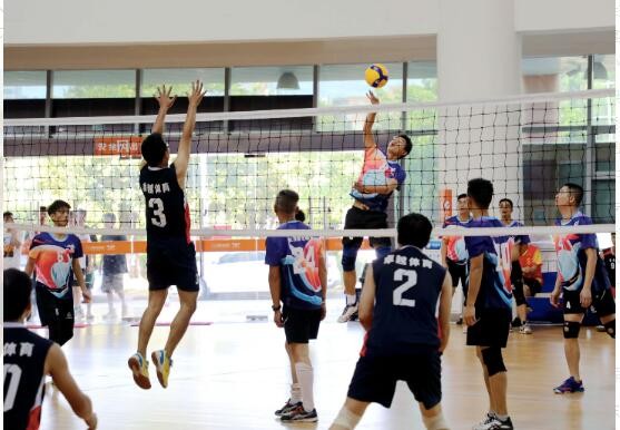 在排球比赛中,可以用脚踢球吗?支付宝蚂蚁庄园8月4日答案