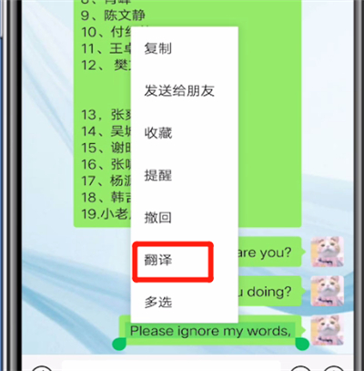 微信打开翻译功能的教程步骤