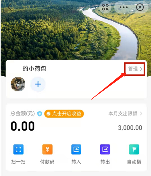 支付宝小荷包怎么修改使用金额？支付宝小荷包调整每月支出限额教程