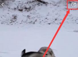 小红书如何复制链接?小红书复制链接的方法