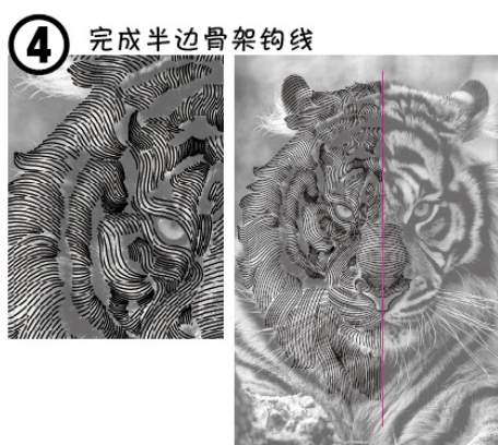 ai打造老虎头像的操作方法