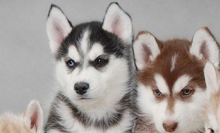 win10显示无法全屏怎么办?win10显示无法全屏的解决教程(4)