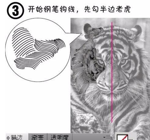 ai打造老虎头像的操作方法