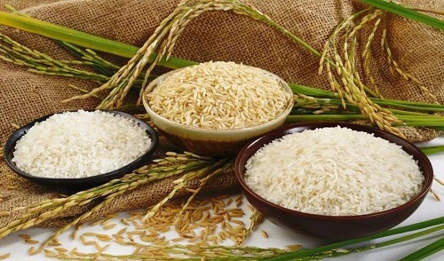 民间有小暑食新的习俗,是指?支付宝蚂蚁庄园7月7日答案