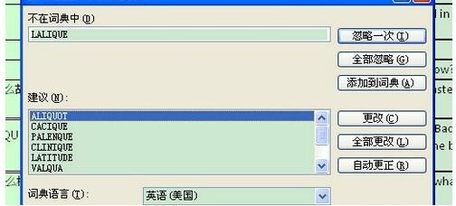 Excel中拼写检查功能使用操作内容