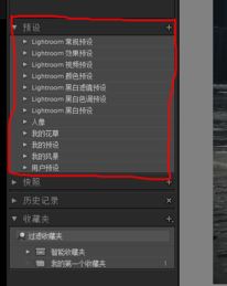 Lightroom预设进行导入的操作方法