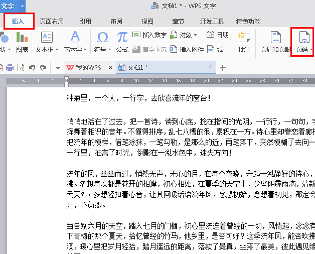 WPS Office 2016将指定页数设置为起始页的步骤