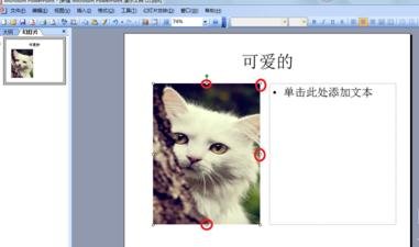 ppt2013设置弧形文字效果的操作方法