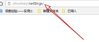 谷歌浏览器设置密码以及表单自动填充的操作步骤