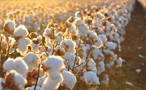 你知道吗?人民币的主要成分来自?支付宝蚂蚁庄园9月21日答案