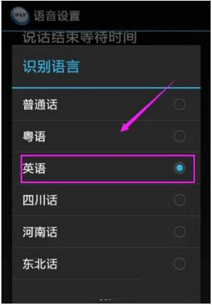 讯飞输入法设置识别语言的操作教程