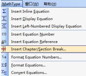 MathType公式编号不从1开始的编辑方法