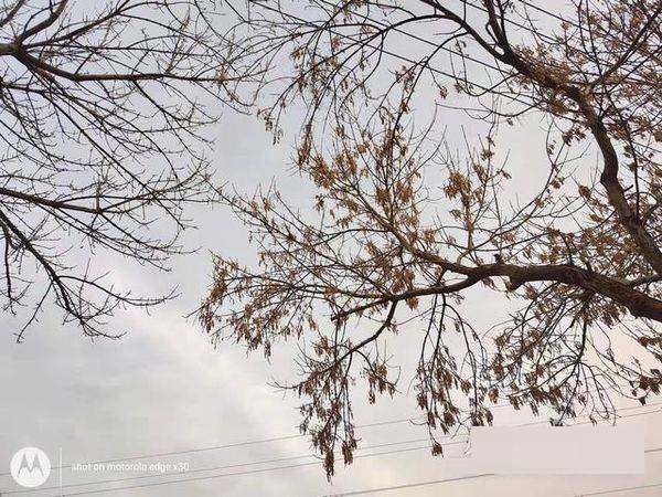 摩托罗拉edgex30拍照性能好吗?摩托罗拉edgex30拍照性能解析