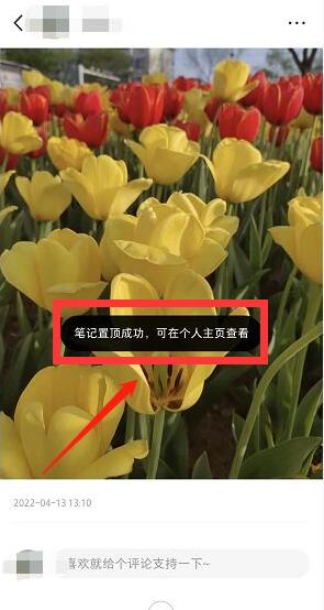 小红书如何置顶作品?小红书置顶作品的方法