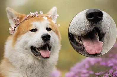 PS局部放大图的图文步骤