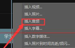 会声会影X9中替换视频中背景音乐的操作流程