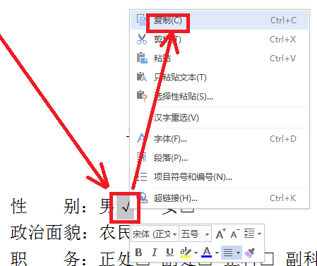 wps2007圆圈和方框中打勾的详细步骤