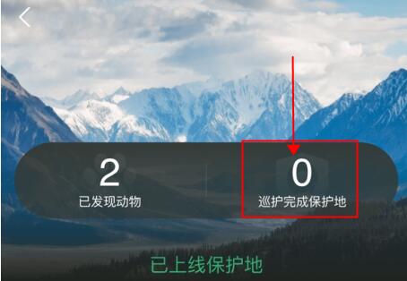 蚂蚁森林巡护勋章在哪里?蚂蚁森林查看巡护勋章的方法