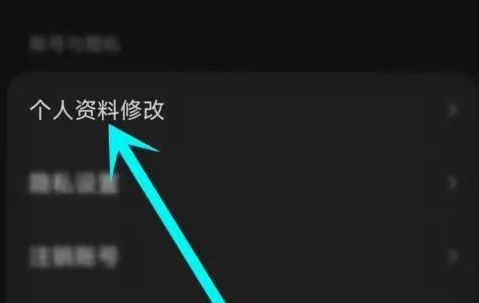 汽水音乐怎样设置定位?汽水音乐设置定位的方法