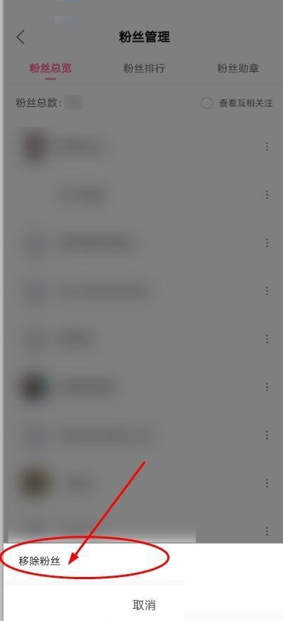 哔哩哔哩怎么移除粉丝?哔哩哔哩移除粉丝教程
