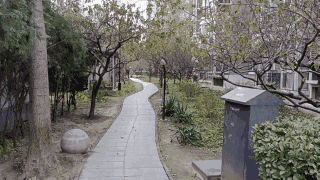 vivoY76S拍照性能怎么样?vivoY76S拍照性能介绍