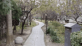 vivoY76S拍照性能怎么样?vivoY76S拍照性能介绍