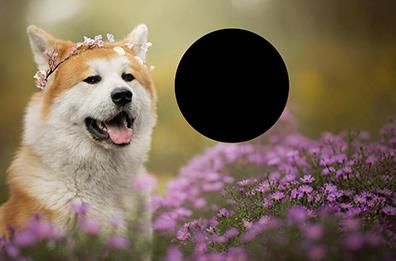 PS局部放大图的图文步骤