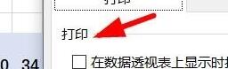 Excel数据透视表怎么设置打印选项-Excel数据透视表设置打印选项方法