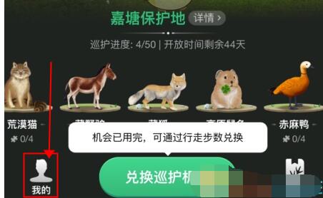 蚂蚁森林巡护勋章在哪里?蚂蚁森林查看巡护勋章的方法