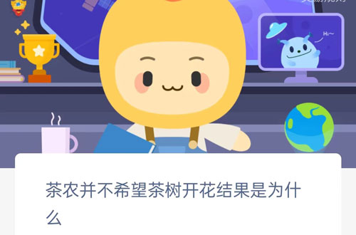 茶农并不希望茶树开花结果是为什么