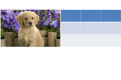 PPT制作拼图效果的操作教程
