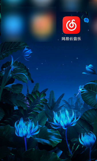 网易云音乐在哪查看音乐排行榜 网易云音乐查看音乐排行榜方法