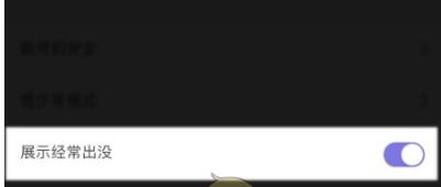 微光怎么隐身在线?微光隐身在线的方法