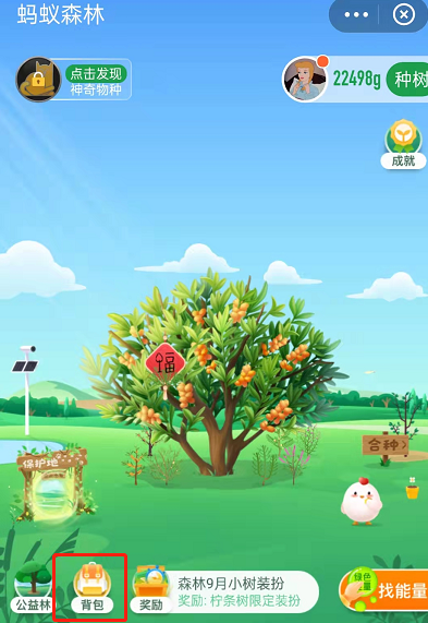 蚂蚁森林怎么获取已种树永久皮肤?支付宝蚂蚁森林获取已种树永久皮肤的方法