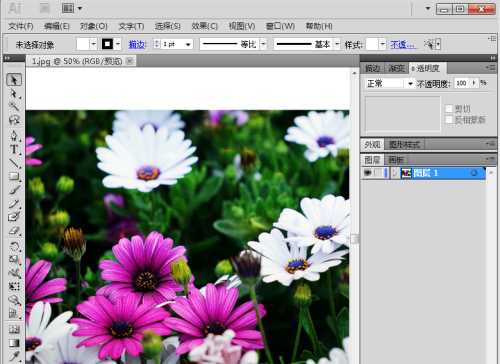 AI 2017怎么给图片添加砂岩纹理化滤镜?AI 2017给图片添加砂岩纹理化滤镜教程
