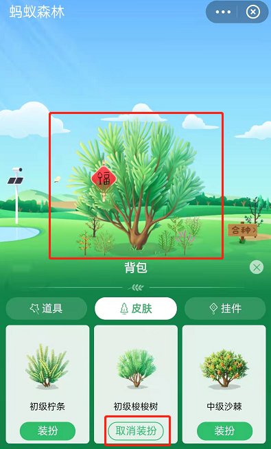 蚂蚁森林怎么获取已种树永久皮肤?支付宝蚂蚁森林获取已种树永久皮肤的方法