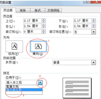 Word 2010设置任意页为横向页的操作教程