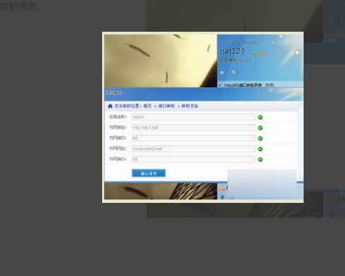 通达oa精灵怎么设置网络?通达OA设置外网访问方法