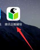 腾讯企鹅辅导怎么看回放 腾讯企鹅辅导看回放方法