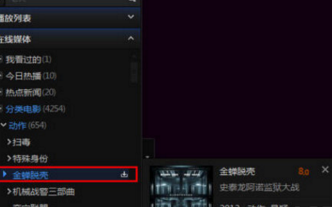 迅雷看看播放器快速下载的操作方法