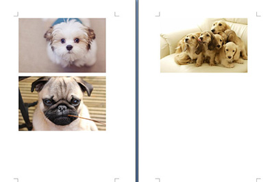 Word图片批量导出的操作步骤