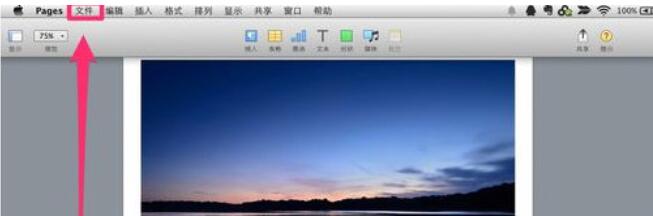 Pages保存文档的具体方法步骤