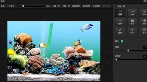 光影魔术手中使用画笔绘画出曲线的操作方法