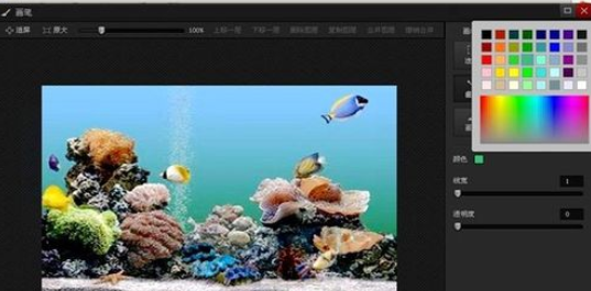 光影魔术手中使用画笔绘画出曲线的操作方法