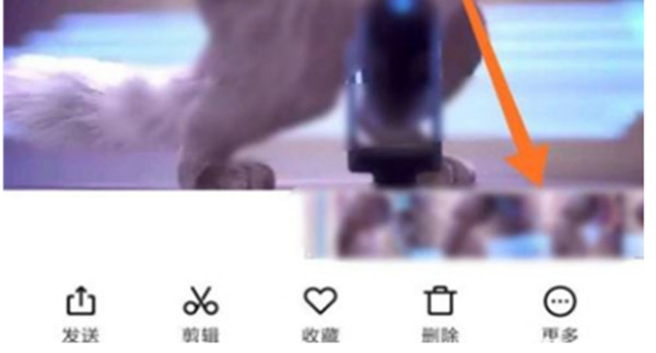 小红书怎么设置视频壁纸?小红书设置视频壁纸的方法