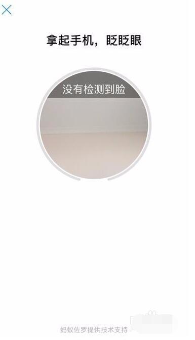 支付宝开通刷脸支付的详细步骤