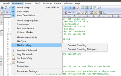 EditPlus更改字符编码格式的操作教程
