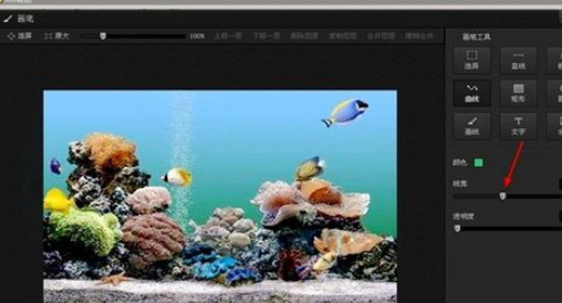 光影魔术手中使用画笔绘画出曲线的操作方法