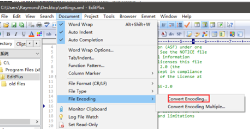 EditPlus更改字符编码格式的操作教程